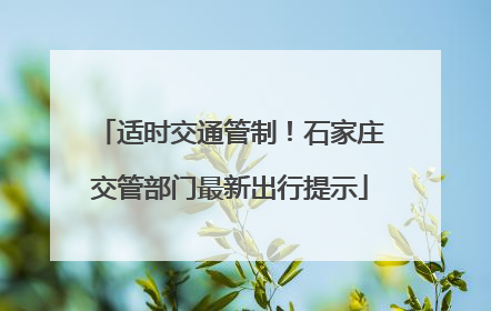 适时交通管制！石家庄交管部门最新出行提示