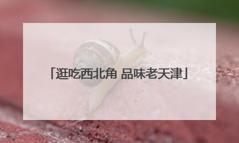 逛吃西北角 品味老天津