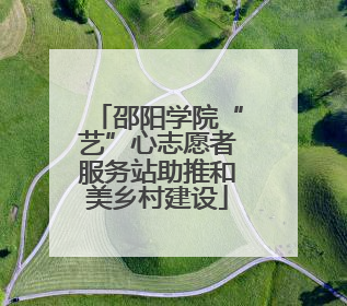 邵阳学院“艺”心志愿者服务站助推和美乡村建设