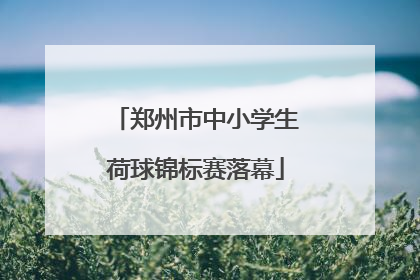 郑州市中小学生荷球锦标赛落幕