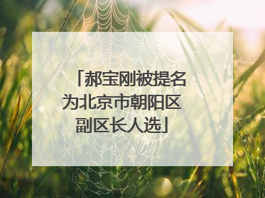 郝宝刚被提名为北京市朝阳区副区长人选