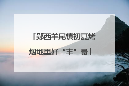 郧西羊尾镇初夏烤烟地里好“丰”景