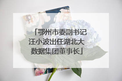 鄂州市委副书记汪小波出任湖北大数据集团董事长
