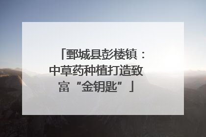 鄄城县彭楼镇：中草药种植打造致富“金钥匙”
