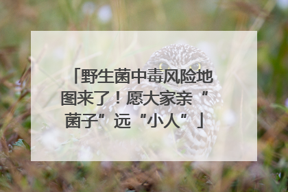 野生菌中毒风险地图来了！愿大家亲“菌子”远“小人”