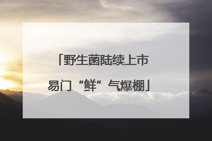 野生菌陆续上市 易门“鲜”气爆棚