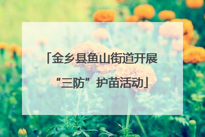 金乡县鱼山街道开展“三防”护苗活动