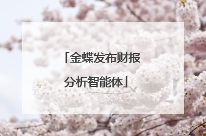 金蝶发布财报分析智能体