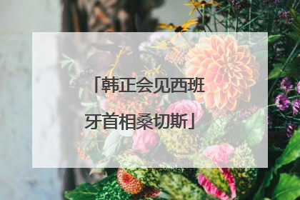 韩正会见西班牙首相桑切斯