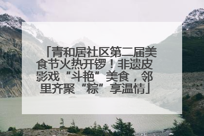 青和居社区第二届美食节火热开锣！非遗皮影戏“斗艳”美食，邻里齐聚“粽”享温情