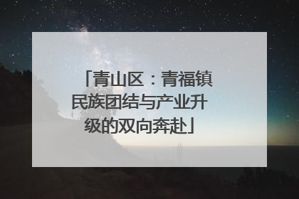 青山区：青福镇民族团结与产业升级的双向奔赴