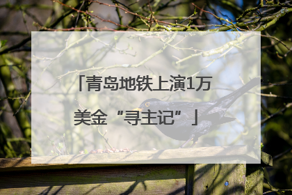 青岛地铁上演1万美金“寻主记”