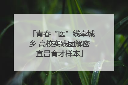 青春“医”线牵城乡 高校实践团解密宜昌育才样本