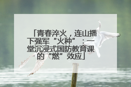 青春淬火，连山播下强军“火种”：一堂沉浸式国防教育课的“燃”效应