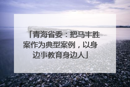 青海省委：把马丰胜案作为典型案例，以身边事教育身边人