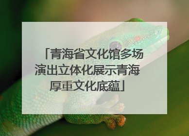 青海省文化馆多场演出立体化展示青海厚重文化底蕴