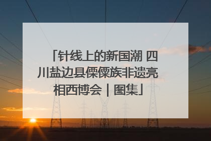 针线上的新国潮 四川盐边县傈僳族非遗亮相西博会｜图集