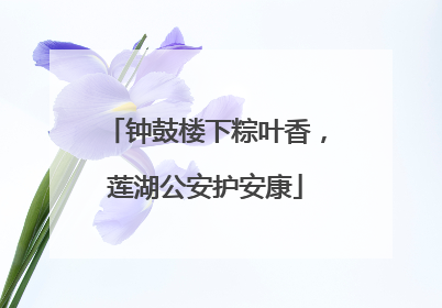 钟鼓楼下粽叶香，莲湖公安护安康