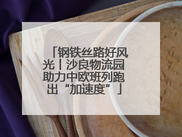 钢铁丝路好风光丨沙良物流园助力中欧班列跑出“加速度”