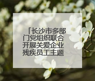 长沙市多部门党组织联合开展关爱企业残疾员工主题党日暨助残日特别活动