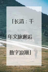 长清：千年文脉邂逅数字浪潮