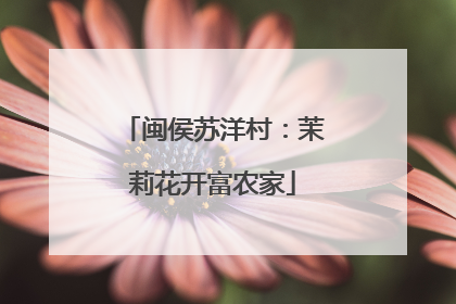 闽侯苏洋村：茉莉花开富农家