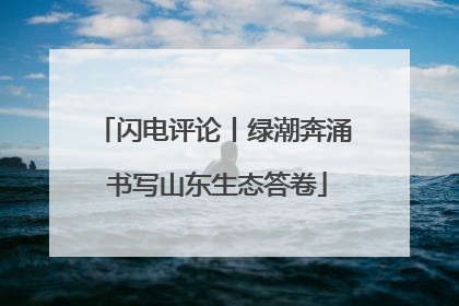 闪电评论丨绿潮奔涌 书写山东生态答卷