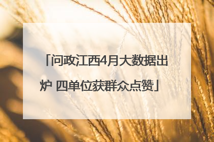 问政江西4月大数据出炉 四单位获群众点赞
