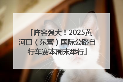 阵容强大！2025黄河口（东营）国际公路自行车赛本周末举行