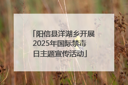 阳信县洋湖乡开展2025年国际禁毒日主题宣传活动