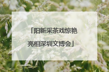 阳新采茶戏惊艳亮相深圳文博会