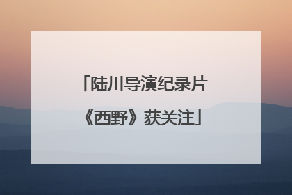 陆川导演纪录片《西野》获关注