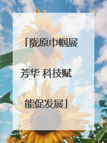 陇原巾帼展芳华 科技赋能促发展