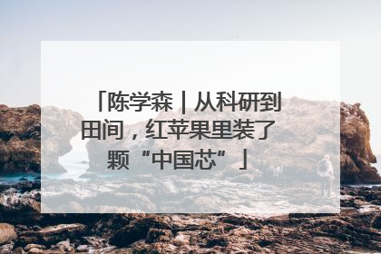 陈学森｜从科研到田间，红苹果里装了颗“中国芯”