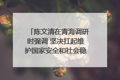 陈文清在青海调研时强调 坚决扛起维护国家安全和社会稳定职责使命 为谱写中国式现代化青海篇章贡献政法力量