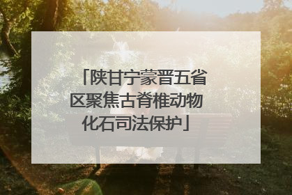 陕甘宁蒙晋五省区聚焦古脊椎动物化石司法保护