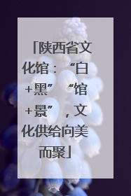 陕西省文化馆：“白+黑”“馆+景”，文化供给向美而聚