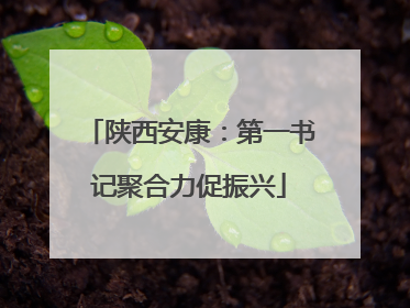 陕西安康：第一书记聚合力促振兴