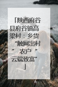 陕西府谷县府谷镇高梁村：乡货“触网出村” 农户“云端致富”