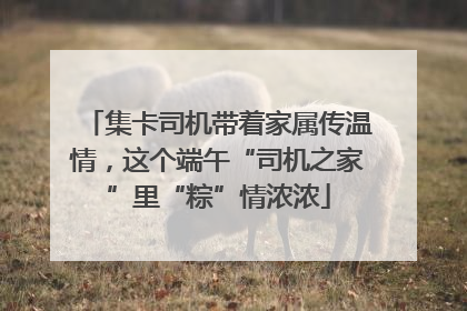 集卡司机带着家属传温情，这个端午“司机之家”里“粽”情浓浓
