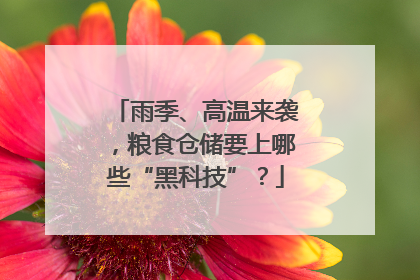 雨季、高温来袭，粮食仓储要上哪些“黑科技”？