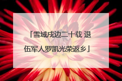 雪域戍边二十载 退伍军人罗凯光荣返乡