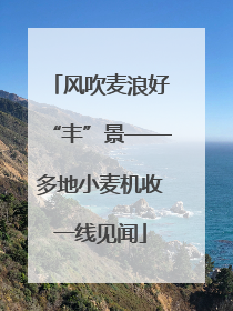 风吹麦浪好“丰”景——多地小麦机收一线见闻