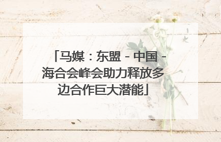 马媒：东盟－中国－海合会峰会助力释放多边合作巨大潜能