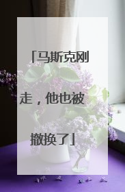 马斯克刚走，他也被撤换了