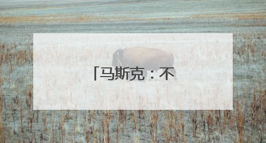 马斯克：不想做替罪羊
