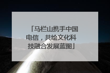 马栏山携手中国电信，共绘文化科技融合发展蓝图