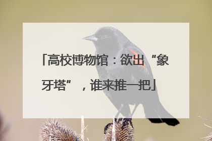 高校博物馆：欲出“象牙塔”，谁来推一把