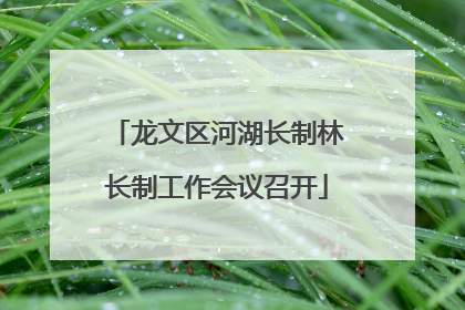 龙文区河湖长制林长制工作会议召开