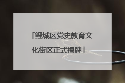 鲤城区党史教育文化街区正式揭牌